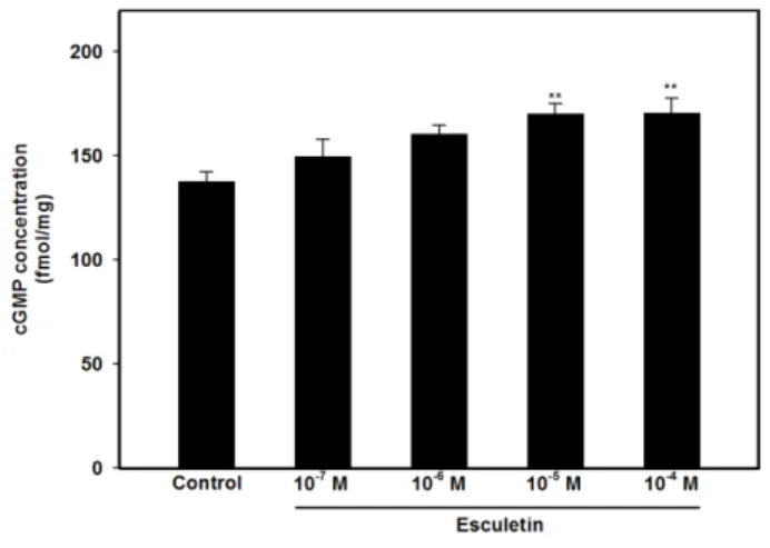 Fig. 4 − Interaction of esculetin (ESCU, 10 -5  M) with sildenafil (SILD, 10 -8  M) (n=6)