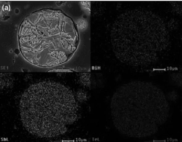 Fig. 1. Scanning electron micrographs of the p-type Bi 2 Te 3