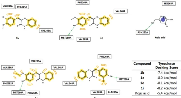 Fig. 2 − Interactions between residues of compounds (1b,  1c,  1e,  1i and kojic acid) and tyrosinase, and their docking scores.