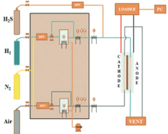 Fig.  2.  Schematic  diagram  of  H 2 S  poisoning  in  PEMFC.