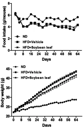 Fig. 1 − Effect of soybean leaf extract on food intake and weight gain in high-fat diet-fed mice