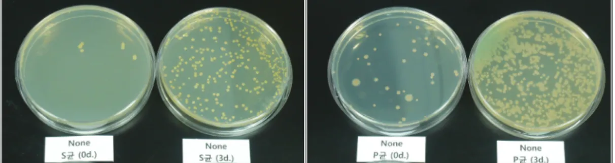 Table  2.  Various  Data  Measured  in  Dyed  Fiber  using  Alum  Mordant  [Al 2 (So 4 ) 3 ·13-14H 2 o]