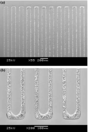 Fig. 9a contains the scanning electron microscope image of the line patterns made of gold nanoparticle