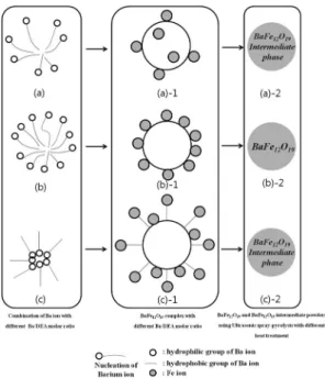Fig. 3. Schematic illustration of BaFe 12 O 19  synthesis by self assembly method.