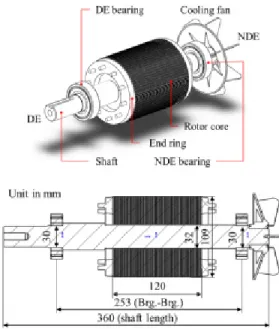 Fig. 1 3D and 2D drawings of the rotor-bearing  system for the initial design induction motor