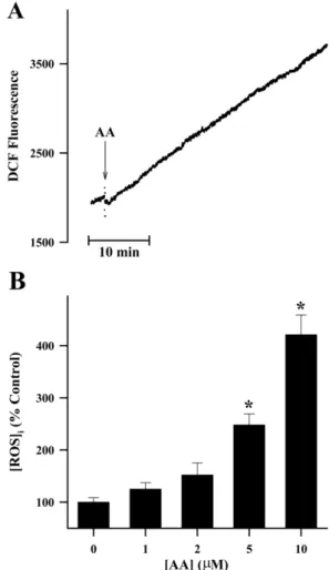 Fig. 1 − Effect of AA on the ROS production in B16 melanoma cells. The data (A) show changes in ROS levels as a function of time