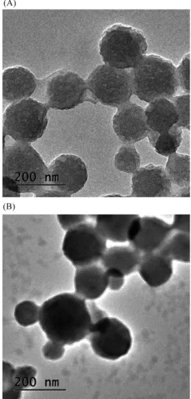 Fig. 2 − FE-TEM images of MSN (A) and MSN-Tf (B) at 30,000x magnification. Scale bars: 200 nm