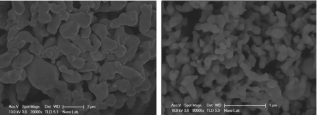 Fig. 2. SEM images of nano particles annealed at 400 o C for 1 hr (a) Ag nano particles obtained by PWE in Ar atmosphere and (b) C-coated Ag particles obtained by PWE in a gas mixture of Ar : CH 4 = 9 : 1(10 vol%).
