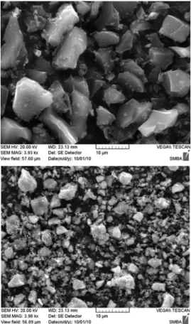 Fig.  1.  FE-SEM  image  of  ACF  &amp;  LiFePO 4 .