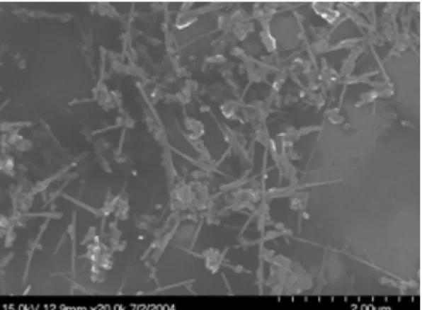 Fig. 2. 80% purified multi-walled carbon nanotubes pow- pow-der.