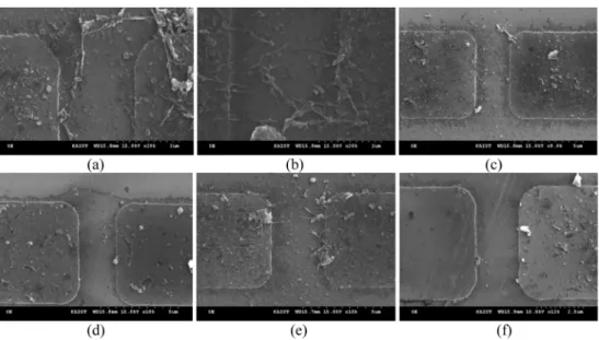 Fig. 9. FE-SEM images for rectangular electrode 0.8 Vrms/ µ m@ (a) 100 kHz, (b) 5MHz, (c) 20 MHz and 0.3 Vrms/ µ m@, (d) 100 kHz, (e) 5 MHz and (f) 20 MHz.