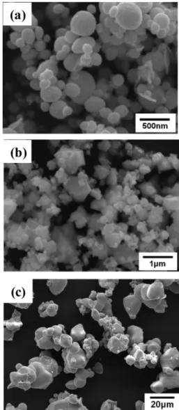 Fig. 1. SEM micrographs of the (a) Bi 2 O 3 , (b) Sb 2 O 3  and (c) TeO 2  powders.