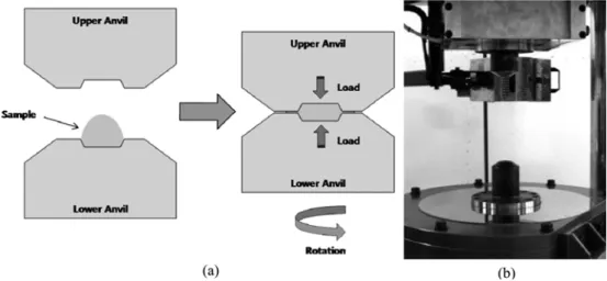 Fig. 1. (a) Schematic of HPT and (b) the HPT press and die set. 