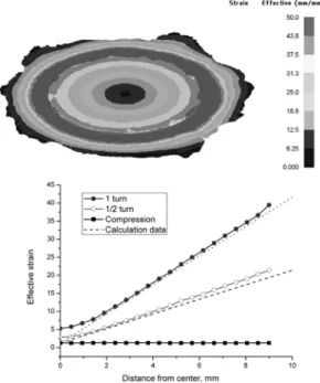 Fig. 4. Geometry of HPT processed disk by finite element analysis and effective strain distribution