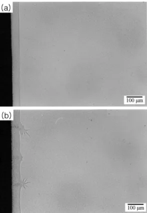 Fig. 3. Micrographs showing the surface region of the Y- Y-TZP specimens sintered at 1600 o C for 3h after low  tem-perature aging at 200 o C for 20h: (a) polished surface  with-out scratch and (b) polished surface with coarse scratch.