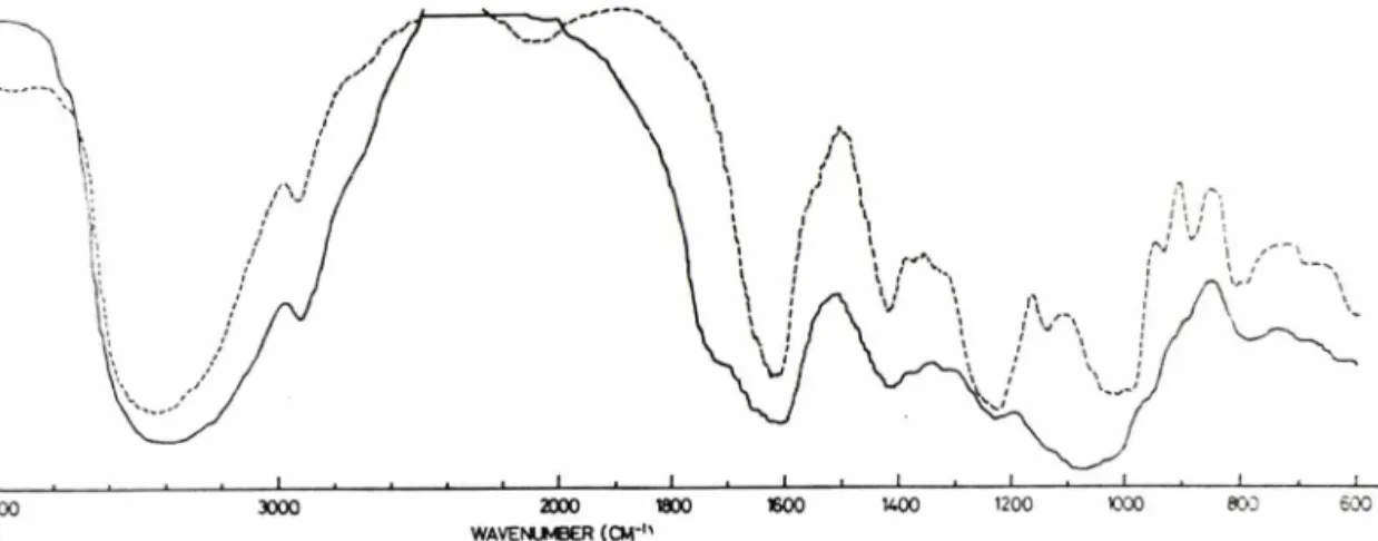 Table  III-Analysis  of  neutral  sugar  of  the  acidic  polysaccharide  by  GLC.