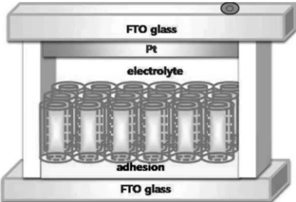 Fig. 2. Schematic diagram of TiO 2  nanotube arrays dye solar cell. 