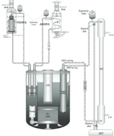 Fig. 1 Schematic of DHRS for PGSFR