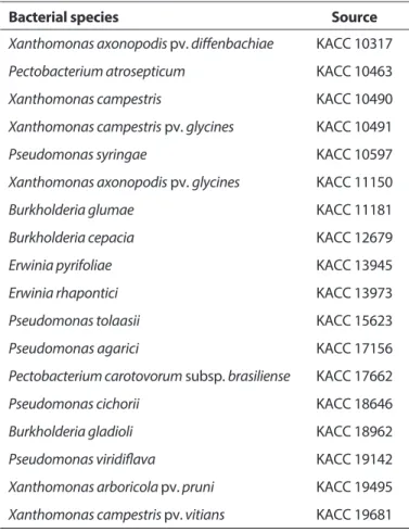 Fig. 2. Specificity of created mqsA primer set. Verification of the ability to detect Xylella fastidiosa for one type of primer (mqsA-F/mqsA-R) 