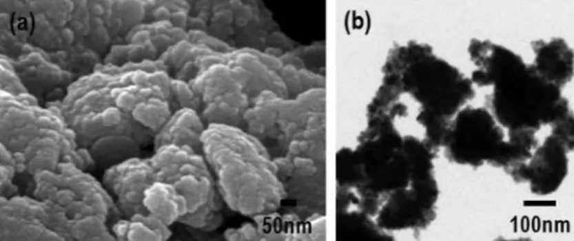 Fig. 1. (a) FE-SEM and (b) TEM images of PLT nanopowder synthesized by MCP method for 4h.