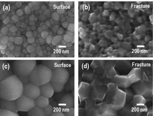 Fig. 3. FE-SEM images of PLT sintered at (a, b) 1050 o C and (c, d) 1150 o C for 3h.