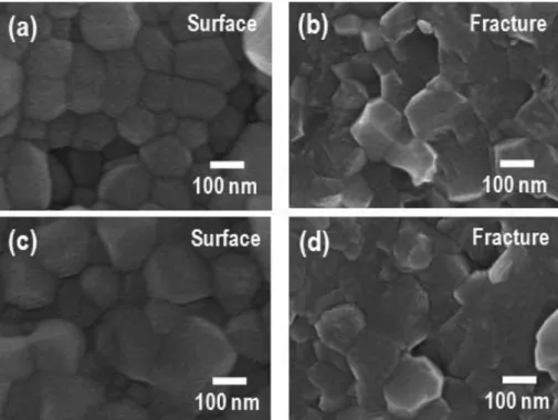 Fig. 5. FE-SEM images of PLT-Bi 2 O 3  sintered at 1000 o C for 3h: (a, b) 0.5 wt% Bi 2 O 3  and (c, d) 2 wt% Bi 2 O 3 .