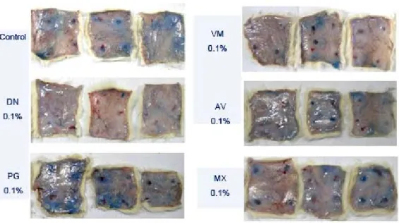 Fig.  6.  Inhibitory  effects  of  various  medicinal  herb  extracts  on  Compound  48/80-induced  allergy  reaction  in  male  Sprague-Dawley  rats