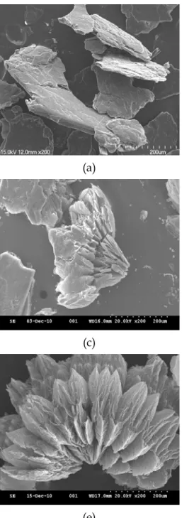 Fig.  3.  SEM  image  of  various  expanded  graphite  1.  (a)  Natural  graphite,                                   (b)  P100K8T1000,  (c)  P150K8T1000,  (d)  P200K8T1000,  (e)  P300K8T1000                                   and  (f)  P400K8T1000.