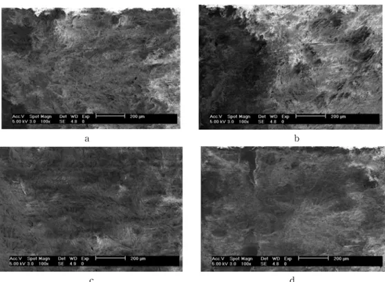 Fig.  9.  Abrasion  test  phenomena  of  polyurethane-epoxy  hybrid  resin  coatings  in  leather  surface  by  SEM