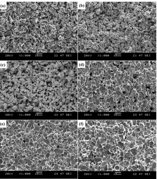 Fig. 4. Fracture surface morphologies of non-isothermal sintered (Nd, Dy)-Fe-B: sintered at (a) 700 o C, (b) 900 o C, (c) 950 o C, (d) 1000 o C, (e) 1050 o C and (f) 1100 o C.