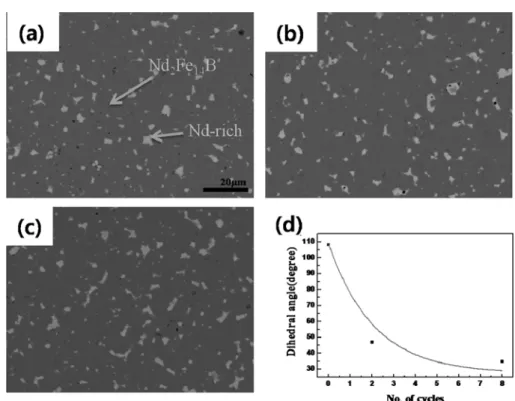 Fig. 4. SEM-BSE images of (a) non cycle, (b) two cycle and (c) eight cycle convergent heat treatment and (d) dihedral angle changes between the Nd 2  Fe 14 B grains.