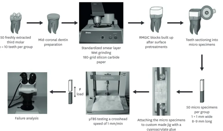 Figure 1.  Schematic illustrating the experimental study design. 
