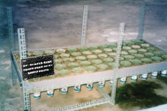 Fig.  2.  Observation  image  of  Pot-test.