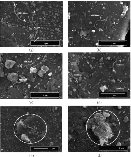 Fig. 3. The SEM images showing the dispersion state changes of CNT (10~20 nm in diameter) according to the Pre-ball milling time of (a) 1 h, (b) 2 h, (c) 5 h, (d) 10 h, (e) 5 h, and (f) 10 h in the powder mixtures.