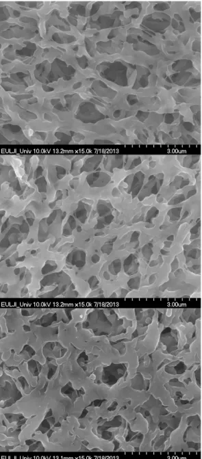 Fig.  6-(a),(b),(c)  Scanning  electron  microscope  (SEM)  image  of  dewetted  membrane