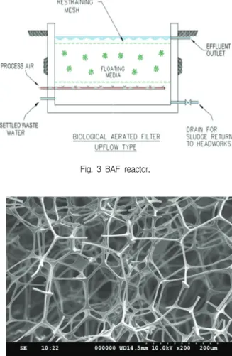 Fig.  3  BAF  reactor.
