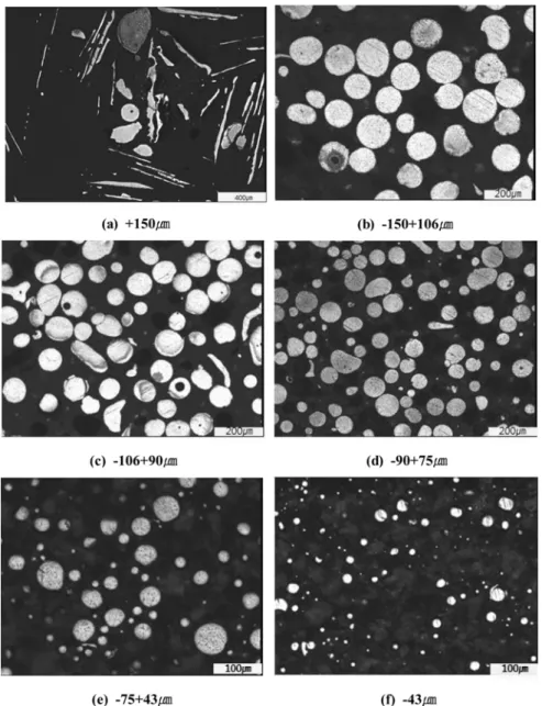Fig. 5. Cross section images of the as-prepared Fe amorphous powders.
