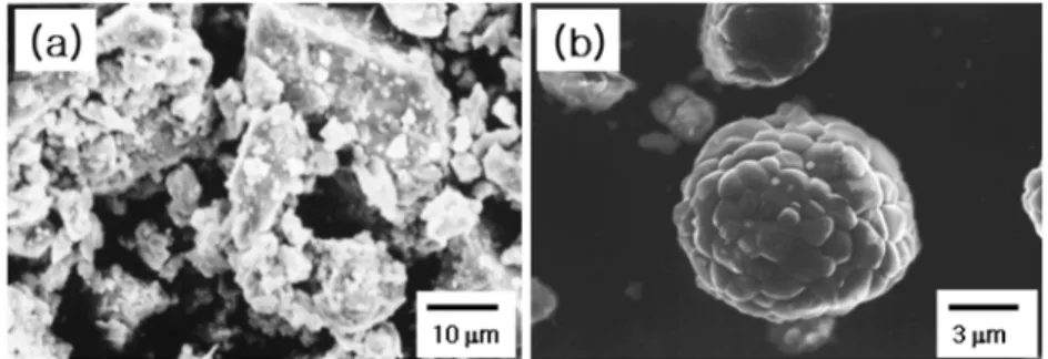Fig. 1. SEM micrographs of the raw powders. (a) Fe 2 O 3  and (b) NiO