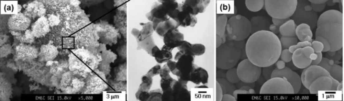 Fig. 2. SEM micrographs of (a) reduced Fe-8 wt%Ni nanopowders and (b) the carbonyl Fe and Ni powders.