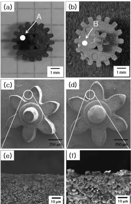 Fig. 6. SEM-micrographs and the cross section images of PIMed Fe-8 wt%Ni specimen. (a, c, e) nanopowder part and (b, d, f) conventional powder part