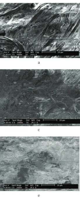 Fig.  12.  Abrasion  test  phenomena  of  leather  surface    by  SEM.  a(WPU),  b(WPU  97  :                              WEP  3),  c(WPU  94  :  WEP  6),  d(WPU  91  :  WEP  9),  e(WPU  88  :  WEP  12).