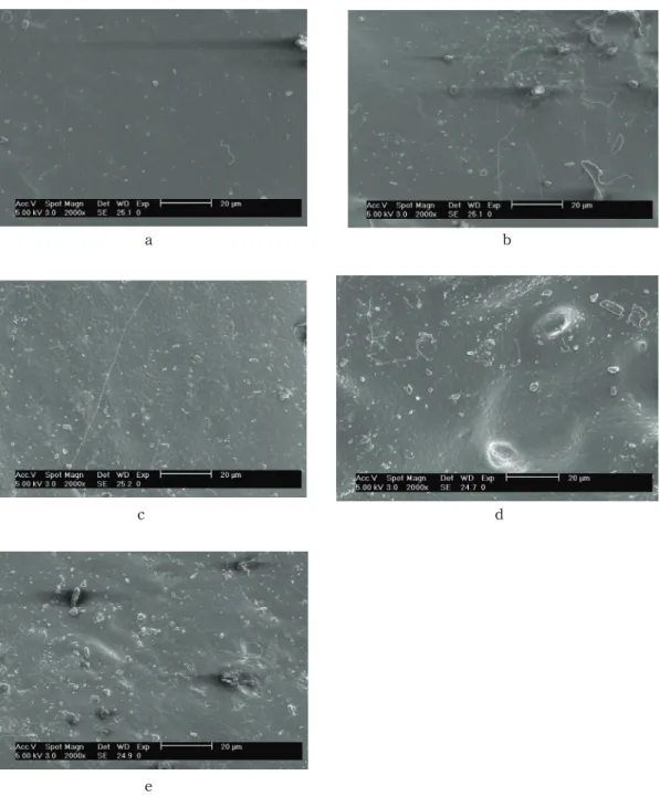 Fig.  11.  Flexibility  test  phenomena  of  leather  surface    by  SEM.  a(WPU),  b(WPU  97  :                              WEP  3),  c(WPU  94  :  WEP  6),  d(WPU  91  :  WEP  9),  e(WPU  88  :  WEP  12).