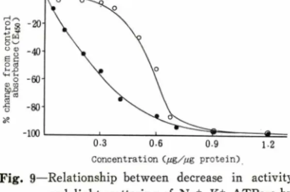 Fig.  9 ᅳRelationship  between  decrease  in  activity  and  light scattering of  Na+,  K+-ATPase by  SDS