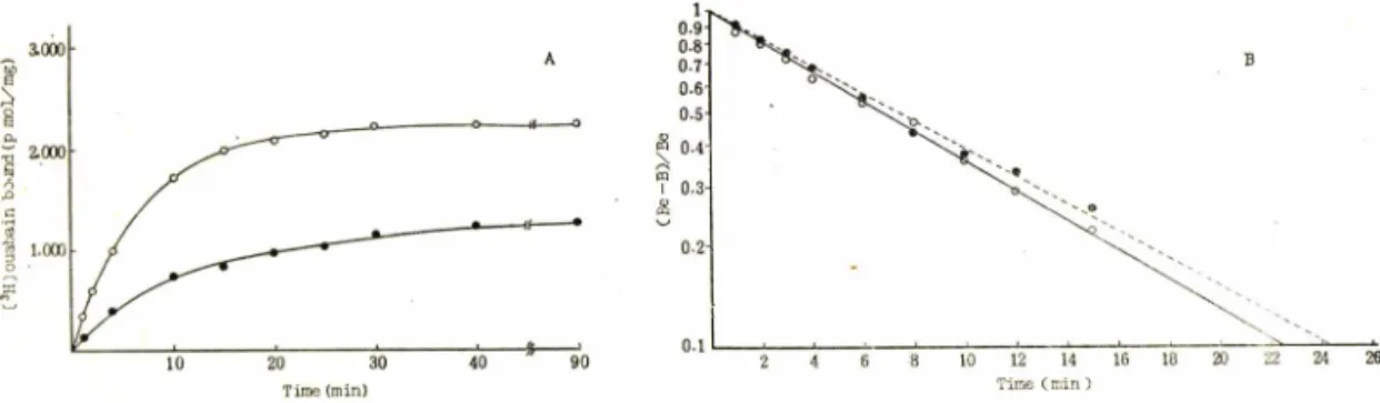 Table  I —Na-dependent  phosphorylation  of  control  and  ginseng  saponin  treated  Na+, K+-  ATPase