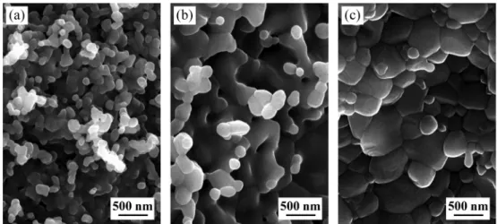 Fig. 2. Fracture surfaces of pressureless-sintered Al 2 O 3  monoliths: (a) sintered at 1300 o C, (b) sintered at 1500 o C and (c) sin- sin-tered at 1500 o C with MgO additive.