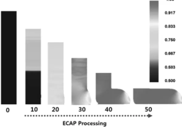 Fig. 3. Sheathless powder ECAP simulation results of rel- rel-ative density distribution.