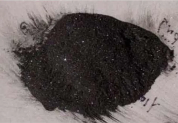 Fig. 1 Magnetite powder