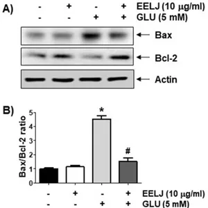 Fig.  6.  Effects  of  EELJ  on  the  expression  of  Bax  and  Bcl-2  in  glutamate-treated  hippocampal  HT22  cells
