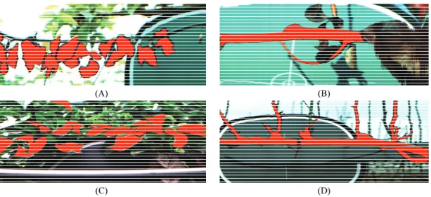 Fig.  3.  Extraction  of  ROIs  of  the  leaf  (A)  and  branch  (B)  of  FB-infected  pear  tree  and  the  leaf  (C)  and  branch  (D)  of  FB-uninfected  pear  tree.