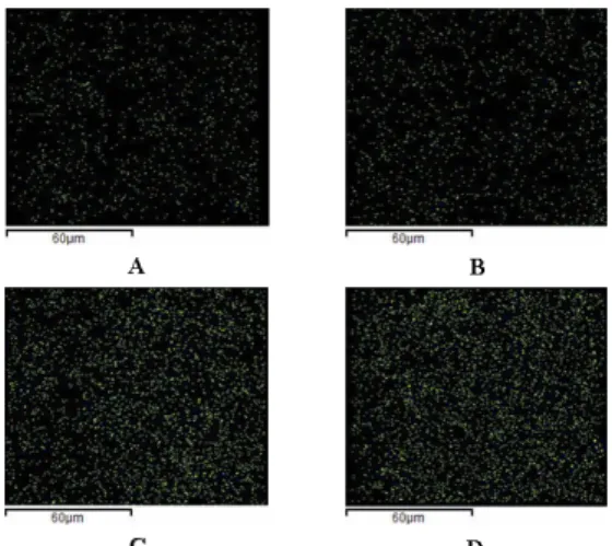Fig.  2.  EDS  X-ray  map  images  of  PET  films  coated  with  coating  solutions  containing  SiO 2 ;  (A)  0.13  g,  (B)  0.20  g,  (C)  0.60  g,  and  (D)  1.00  g.
